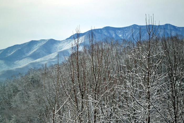 Mountain High Villa Gatlinburg Eksteriør bilde